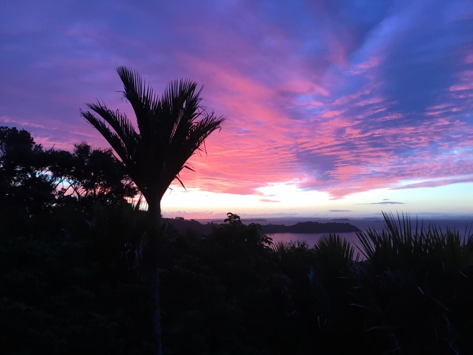 Nikau Waiheke Island Apartment